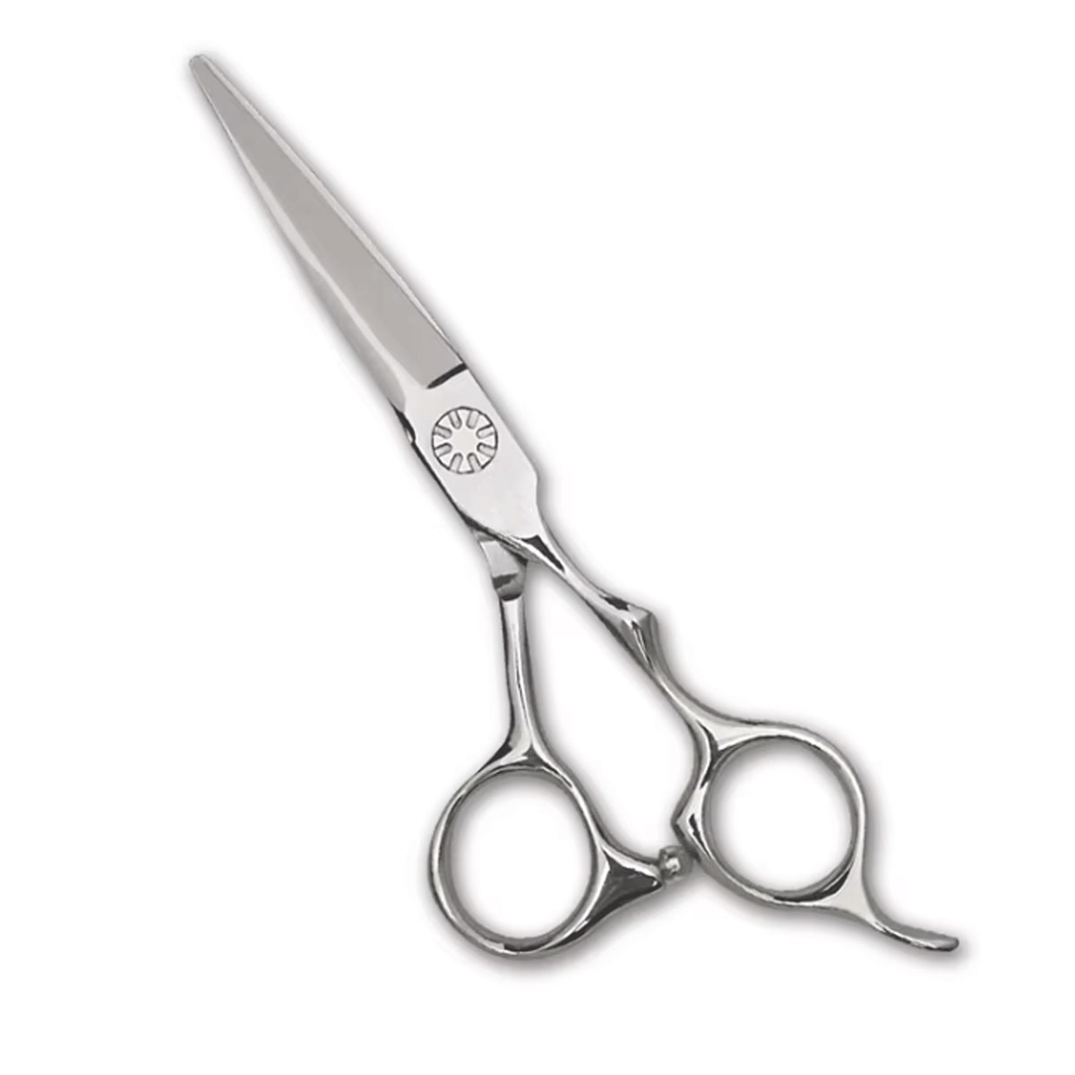 professional-hair-cutting-shears-scissors