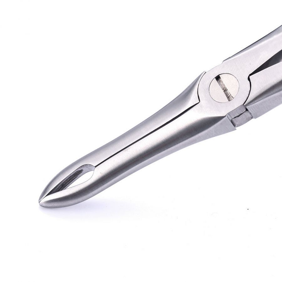 extraction-forceps-upper-roots