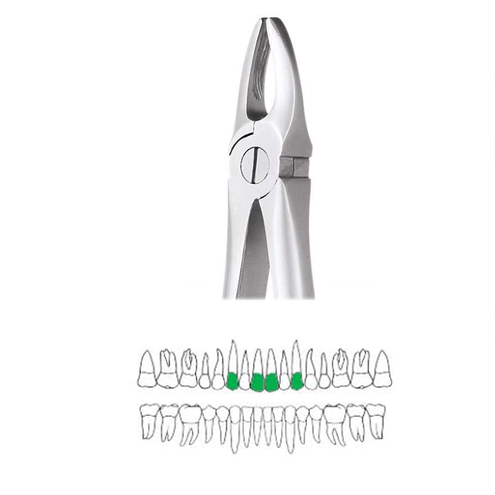 extraction-forceps-upper-anteriors-model-1