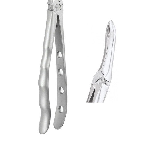Extraction Forceps (Upper Roots / English Pattern)