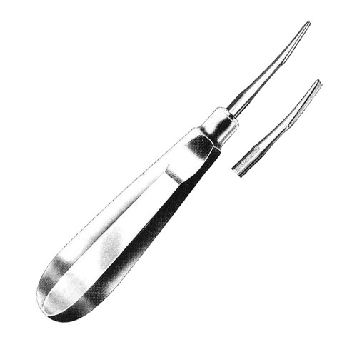 Dental Root Elevator Instrument