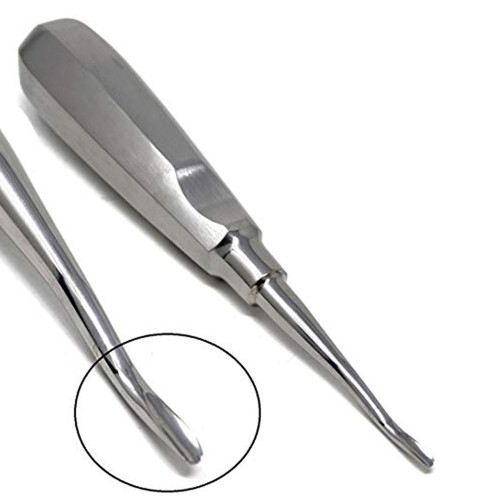 Curved Dental Root Elevator Instrument