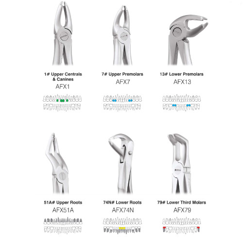 Dental Extraction Forceps (GDC – Assorted Set)