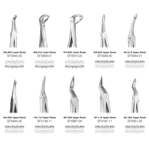 Extraction Forceps Set