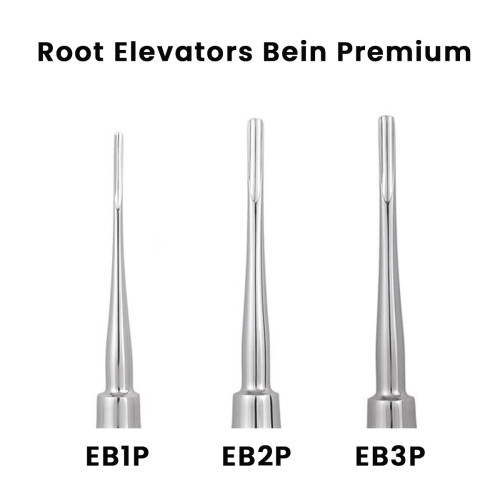 Dental Bein Root Elevators Set