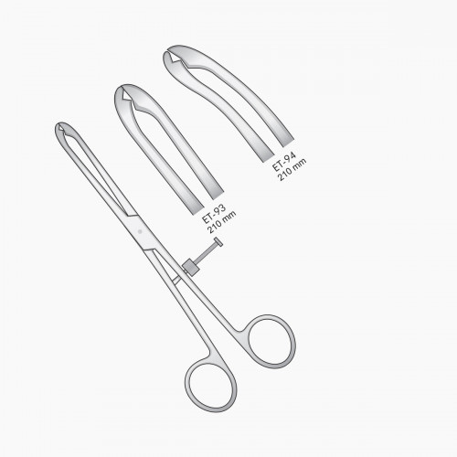 FIBULA BONE SURGERY
