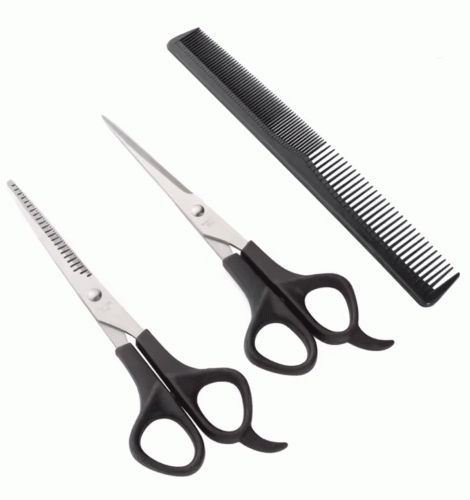Stainless Steel Hair Cutting & Thinning Scissor Set